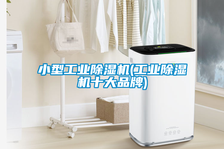 小型工業除濕機(工業除濕機十大品牌)