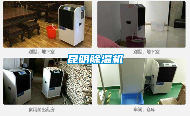 昆明除濕機