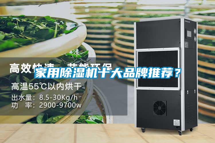家用除濕機十大品牌推薦？