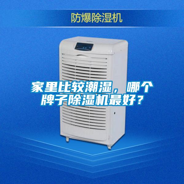 家里比較潮濕，哪個牌子除濕機最好？