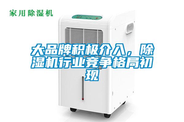大品牌積極介入，除濕機行業競爭格局初現