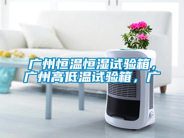 廣州恒溫恒濕試驗箱，廣州高低溫試驗箱，廣