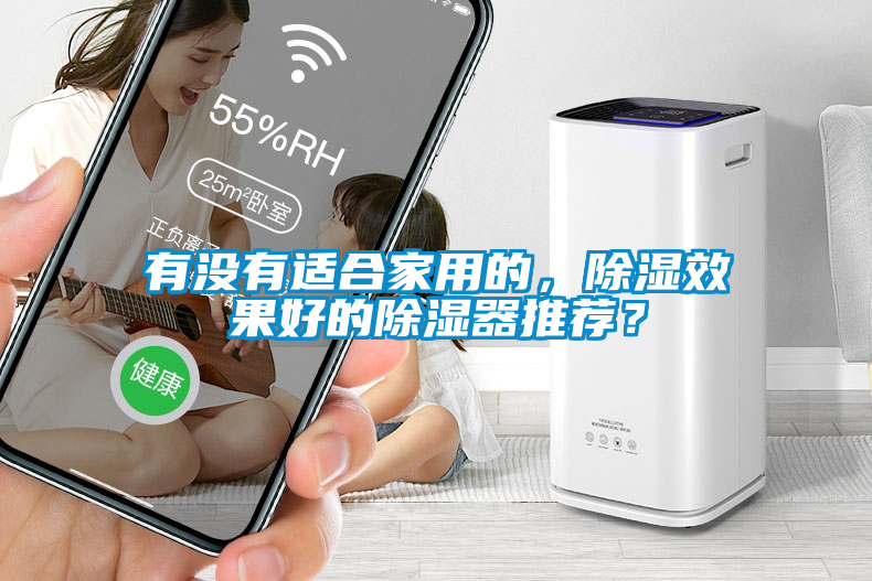 有沒有適合家用的，除濕效果好的除濕器推薦？