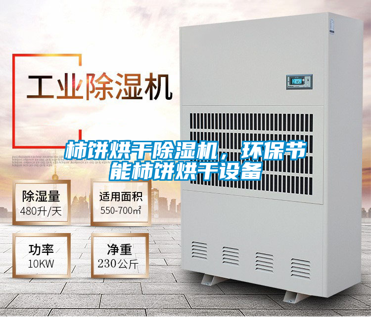 柿餅烘干除濕機，環保節能柿餅烘干設備