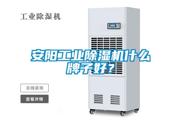 安陽工業除濕機什么牌子好？