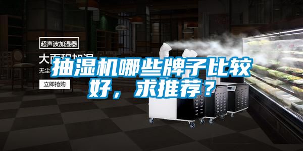 抽濕機哪些牌子比較好，求推薦？