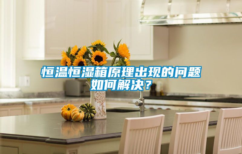 恒溫恒濕箱原理出現的問題如何解決？