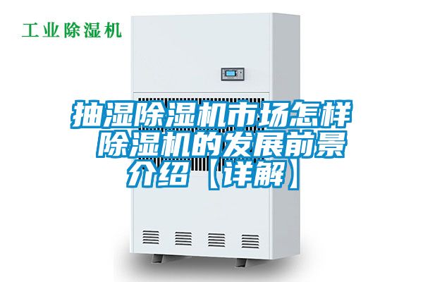 抽濕除濕機市場怎樣 除濕機的發展前景介紹【詳解】