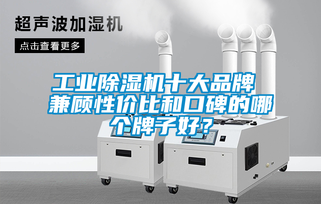 工業除濕機十大品牌 兼顧性價比和口碑的哪個牌子好？