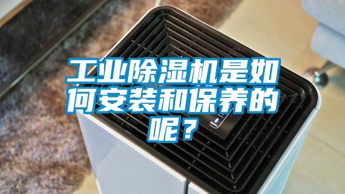 工業除濕機是如何安裝和保養的呢？