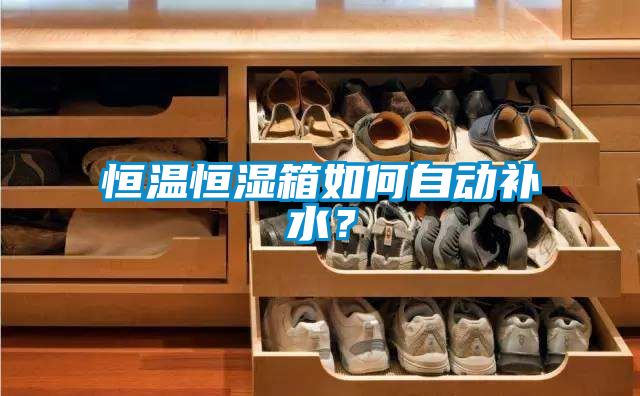 恒溫恒濕箱如何自動補水？