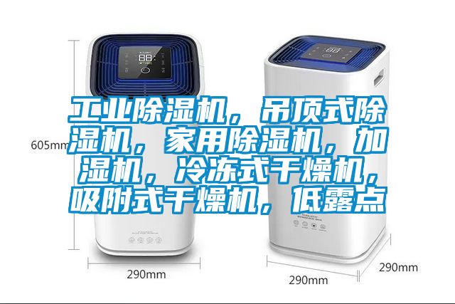 工業除濕機，吊頂式除濕機，家用除濕機，加濕機，冷凍式干燥機，吸附式干燥機，低露點