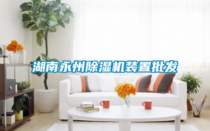 湖南永州除濕機裝置批發