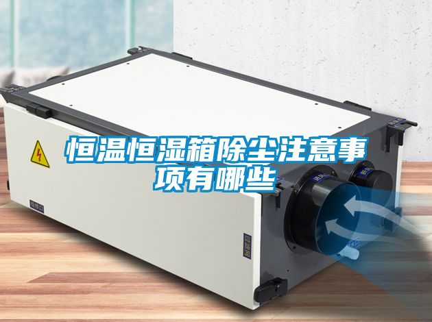 恒溫恒濕箱除塵注意事項有哪些
