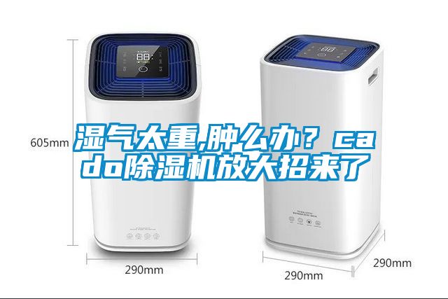 濕氣太重,腫么辦？cado除濕機放大招來了