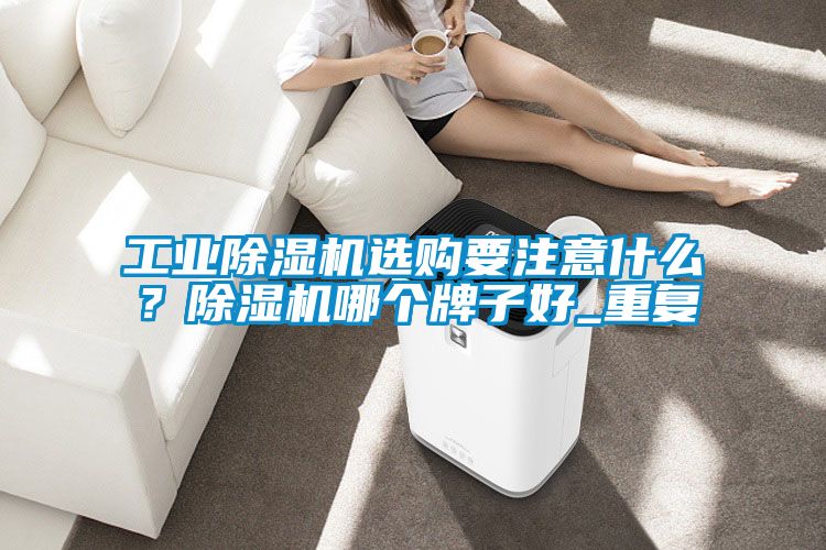 工業除濕機選購要注意什么？除濕機哪個牌子好_重復