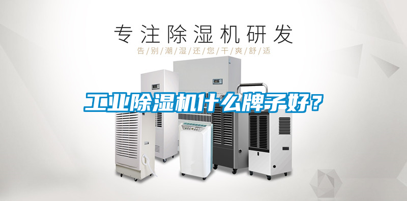 工業除濕機什么牌子好？
