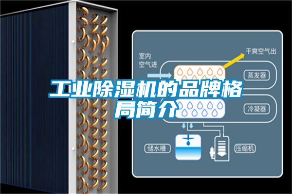 工業除濕機的品牌格局簡介