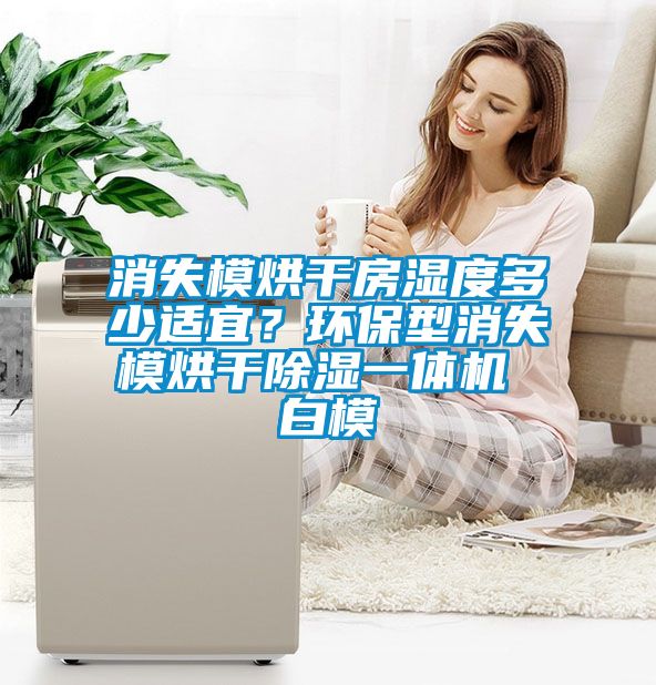 消失模烘干房濕度多少適宜？環保型消失模烘干除濕一體機 白模