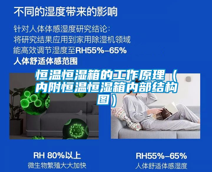 恒溫恒濕箱的工作原理（內附恒溫恒濕箱內部結構圖）