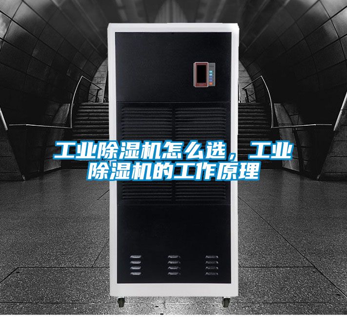 工業除濕機怎么選，工業除濕機的工作原理