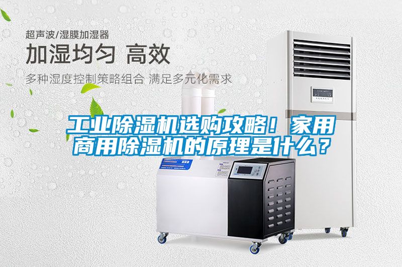 工業除濕機選購攻略！家用商用除濕機的原理是什么？