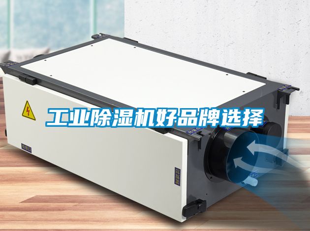 工業除濕機好品牌選擇
