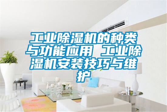 工業除濕機的種類與功能應用 工業除濕機安裝技巧與維護