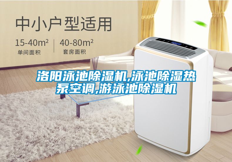 洛陽泳池除濕機,泳池除濕熱泵空調,游泳池除濕機