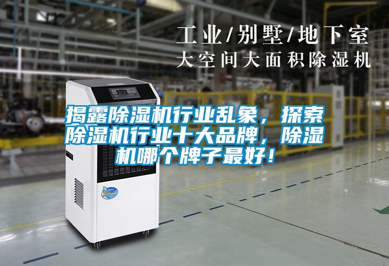 揭露除濕機行業亂象，探索除濕機行業十大品牌，除濕機哪個牌子最好！