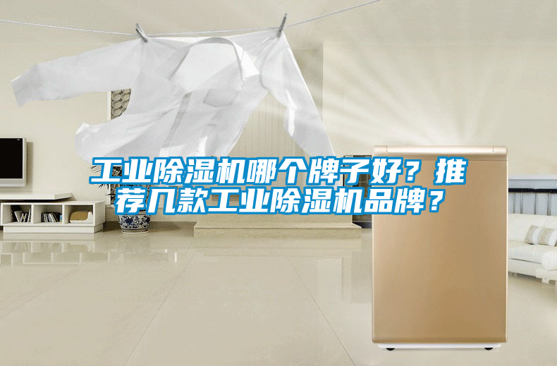 工業除濕機哪個牌子好？推薦幾款工業除濕機品牌？