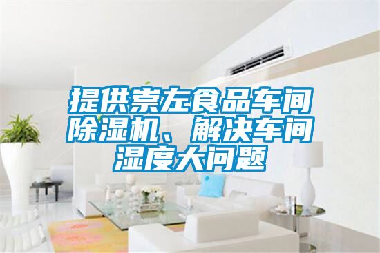 提供崇左食品車間除濕機、解決車間濕度大問題
