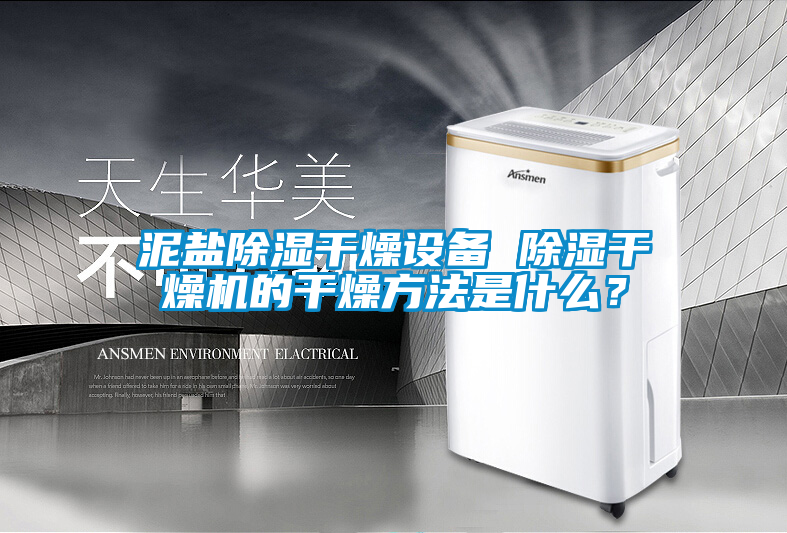 泥鹽除濕干燥設備 除濕干燥機的干燥方法是什么？