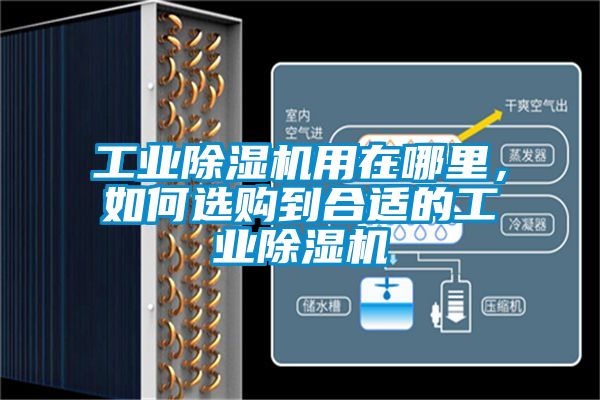 工業除濕機用在哪里，如何選購到合適的工業除濕機