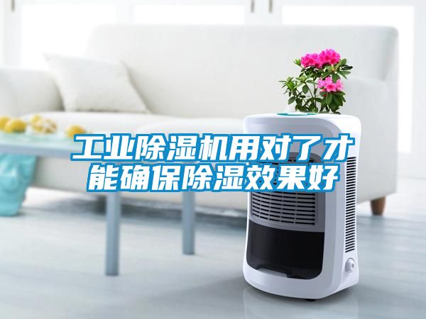 工業除濕機用對了才能確保除濕效果好