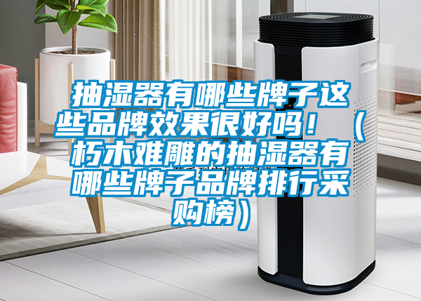 抽濕器有哪些牌子這些品牌效果很好嗎?。ㄐ嗄倦y雕的抽濕器有哪些牌子品牌排行采購榜）