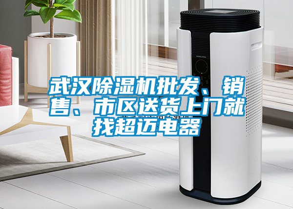 武漢除濕機批發、銷售、市區送貨上門就找超邁電器