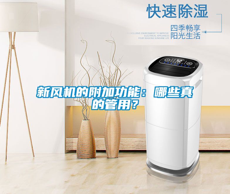 新風機的附加功能：哪些真的管用？