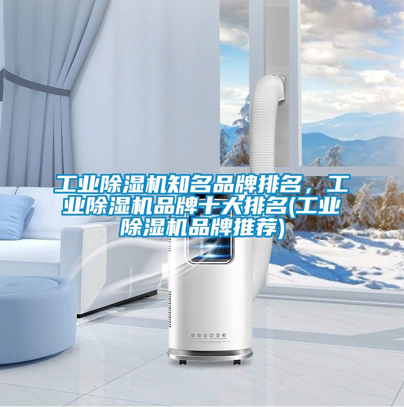 工業除濕機知名品牌排名，工業除濕機品牌十大排名(工業除濕機品牌推薦)