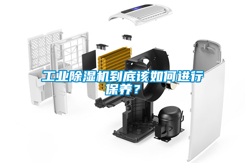 工業除濕機到底該如何進行保養？