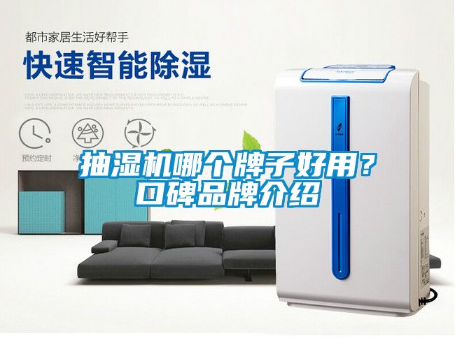 抽濕機哪個牌子好用？口碑品牌介紹