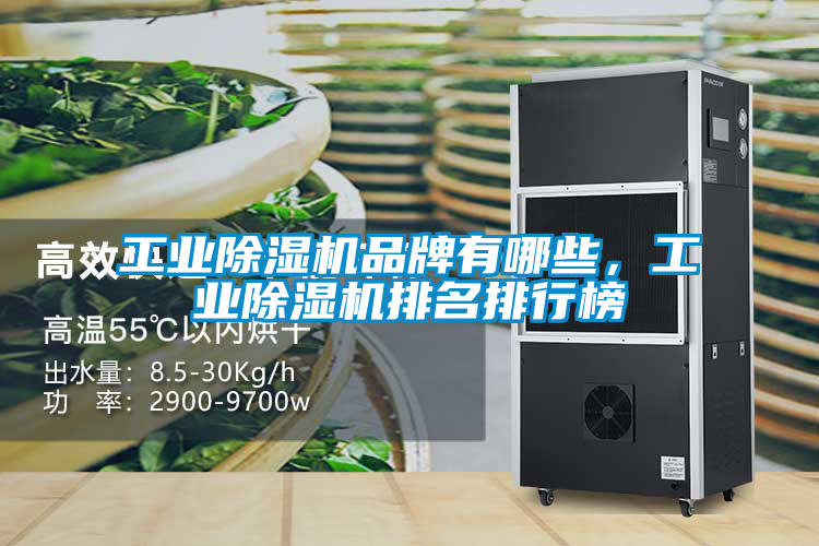 工業除濕機品牌有哪些，工業除濕機排名排行榜