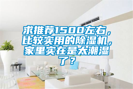 求推薦1500左右，比較實用的除濕機，家里實在是太潮濕了？