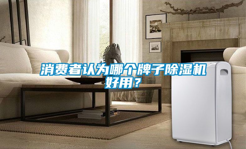 消費者認為哪個牌子除濕機好用？
