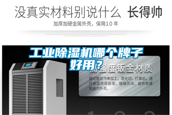 工業除濕機哪個牌子好用？