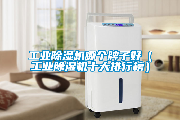 工業除濕機哪個牌子好（工業除濕機十大排行榜）