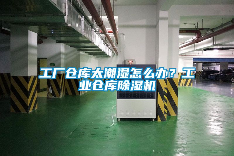 工廠倉庫太潮濕怎么辦？工業倉庫除濕機