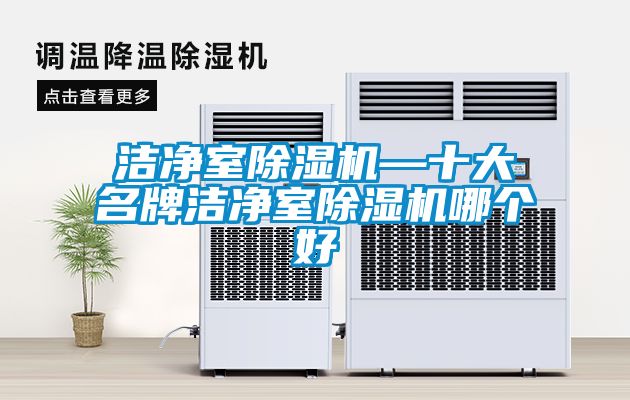 潔凈室除濕機—十大名牌潔凈室除濕機哪個好