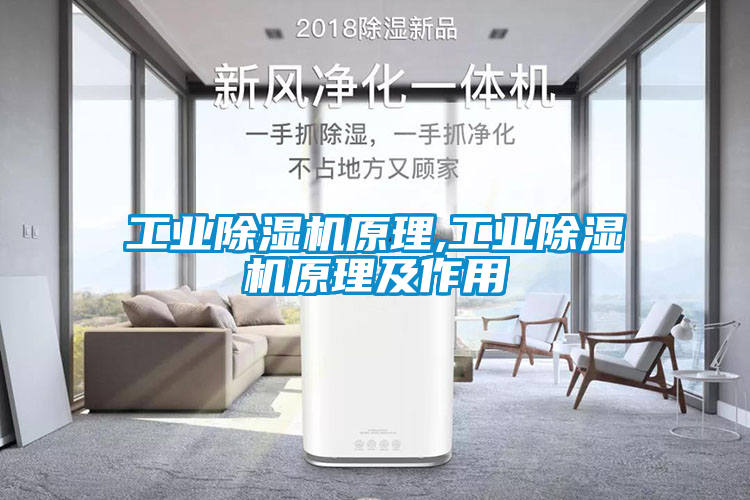 工業除濕機原理,工業除濕機原理及作用