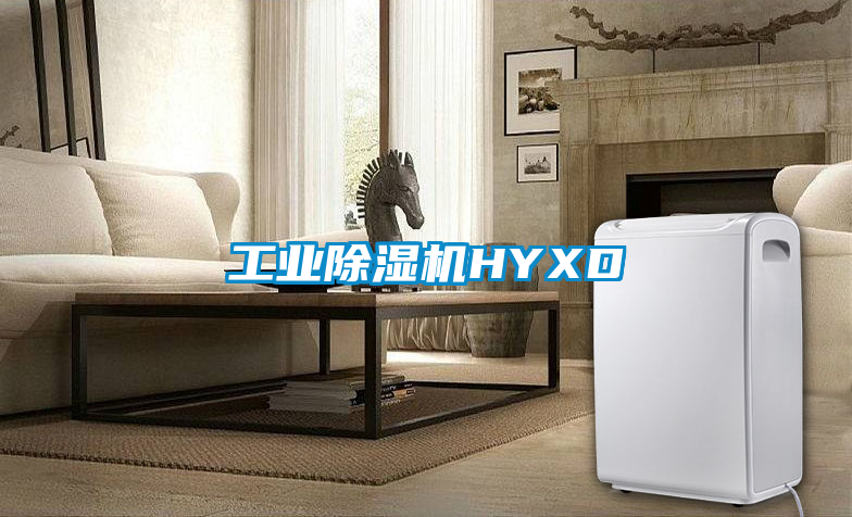 工業除濕機HYXD